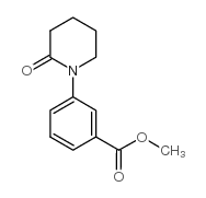 cas no 168162-28-5 is 3-(2-OXO-PIPERIDIN-1-YL)-BENZOIC ACID METHYL ESTER