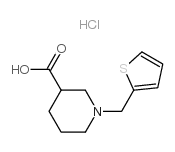 cas no 169139-04-2 is 1-THIOPHEN-2-YLMETHYL-PIPERIDINE-3-CARBOXYLIC ACID HYDROCHLORIDE