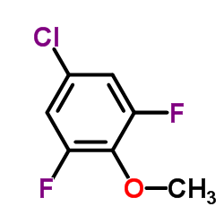 cas no 170572-51-7 is 5-Chloro-1,3-difluoro-2-methoxybenzene
