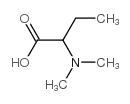cas no 170941-86-3 is 2-(Dimethylamino)butanoic acid