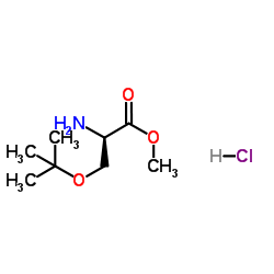 cas no 17114-97-5 is O-tert-Butyl-L-serine methylester hydrochloride