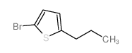 cas no 172319-75-4 is 2-Bromo-5-propylthiophene