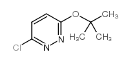 cas no 17321-24-3 is Pyridazine,3-chloro-6-(1,1-dimethylethoxy)-