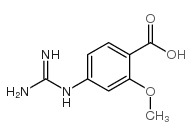 cas no 173731-96-9 is 4-Guanidino-2-methoxybenzoic acid