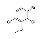 cas no 174913-18-9 is 1-Bromo-2,4-dichloro-3-methoxybenzene