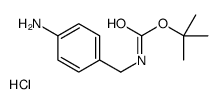 cas no 174959-54-7 is N-[(4-Aminophenyl)methyl]carbamic acid 1,1-dimethylethyl ester hydrochloride