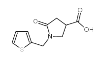 cas no 175136-92-2 is 5-OXO-1-(2-THIENYLMETHYL)PYRROLIDINE-3-CARBOXYLIC ACID