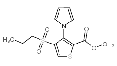 cas no 175201-78-2 is METHYL 4-(PROPYLSULFONYL)-3-(1H-PYRROL-1-YL)THIOPHENE-2-CARBOXYLATE