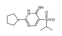 cas no 175202-04-7 is 5-(ISOPROPYLSULFONYL)-2-TETRAHYDRO-1H-PYRROL-1-YLPYRIMIDIN-4-AMINE