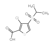 cas no 175202-26-3 is 3-CHLORO-4-(ISOPROPYLSULFONYL)THIOPHENE-2-CARBOXYLIC ACID