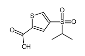 cas no 175202-46-7 is 4-(isopropylsulfonyl)thiophene-2-carboxylic acid