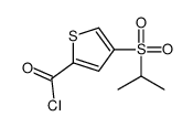 cas no 175202-47-8 is 4-(Isopropylsulphonyl)thiophene-2-carbonyl chloride