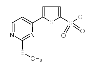 cas no 175202-76-3 is 5-[2-(METHYLTHIO)PYRIMIDIN-4-YL]THIOPHENE-2-SULFONYL CHLORIDE