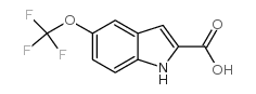 cas no 175203-84-6 is 5-(trifluoromethoxy)indole-2-carboxylic acid