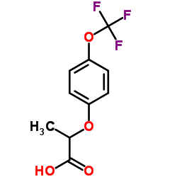 cas no 175204-35-0 is 2-[4-(Trifluoromethoxy)phenoxy]propanoic acid