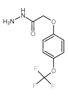 cas no 175204-36-1 is 4-(trifluoromethoxy)phenoxyacetic acid hydrazide