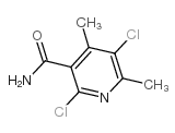 cas no 175204-44-1 is 2,5-dichloro-4,6-dimethylpyridine-3-carboxamide