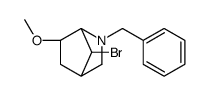 cas no 175204-97-4 is 2-BENZYL-7-BROMO-6-METHOXY-2-AZABICYCLO[2.2.1]HEPTANE