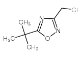 cas no 175205-41-1 is 5-(tert-Butyl)-3-(chloromethyl)-1,2,4-oxadiazole