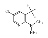 cas no 175205-60-4 is 1-[5-CHLORO-3-(TRIFLUOROMETHYL)-2-PYRIDYL]-1-METHYLHYDRAZINE