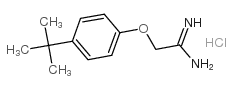 cas no 175277-47-1 is 2-(4-(TERT-BUTYL)PHENOXY)ACETIMIDAMIDE HYDROCHLORIDE
