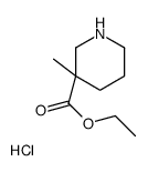 cas no 176523-95-8 is ETHYL 3-METHYLPIPERIDINE-3-CARBOXYLATE HYDROCHLORIDE