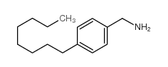 cas no 176956-02-8 is (4-octylphenyl)methanamine