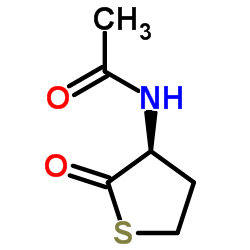 cas no 17896-21-8 is Acetylhomocysteine thiolactone