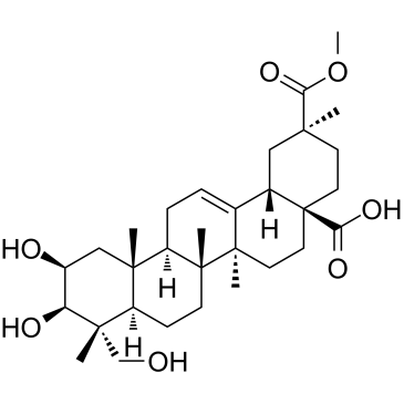 cas no 1802-12-6 is Phytolaccagenin