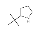 cas no 180258-82-6 is 2-tert-butylpyrrolidine
