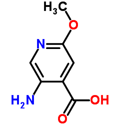 cas no 183741-91-5 is 5-Amino-2-methoxyisonicotinic acid