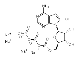cas no 185341-71-3 is 8-chloroadenosine-5'-o-triphosphate sodium salt