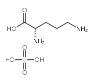 cas no 185423-58-9 is L-Ornithine sulfate (2:1) monohydrate