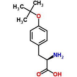 cas no 186698-58-8 is H-D-Tyr(tBu)-OH