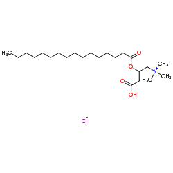 cas no 18877-64-0 is L-Palmitoylcarnitine chloride