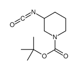cas no 189321-64-0 is tert-butyl 3-isocyanatopiperidine-1-carboxylate