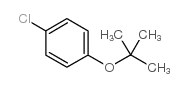 cas no 18995-35-2 is 1-tert-Butoxy-4-chlorobenzene