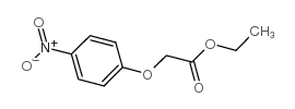 cas no 19076-89-2 is Acetic acid,2-(4-nitrophenoxy)-, ethyl ester