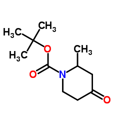 cas no 190906-92-4 is 1-boc-2-methyl-piperidin-4-one