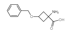 cas no 191110-50-6 is 1-AMINO-3-BENZYLOXYCYCLOBUTANE-1-CARBOXYLIC ACID