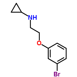 cas no 19160-73-7 is N-[2-(3-Bromophenoxy)ethyl]cyclopropanamine