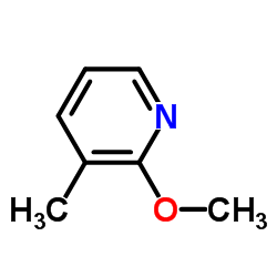 cas no 19230-59-2 is 2-Methoxy-3-methylpyridine