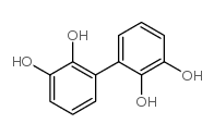 cas no 19261-03-1 is [1,1'-Biphenyl]-2,2',3,3'-tetrol