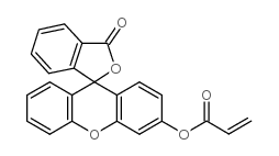 cas no 193419-86-2 is FLUORESCEIN O-ACRYLATE