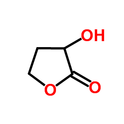 cas no 19444-84-9 is 3-Hydroxydihydro-2(3H)-furanone