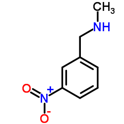 cas no 19499-61-7 is N-methyl-N-(3-nitrobenzyl)amine