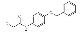cas no 19514-92-2 is 2-chloro-N-(4-phenylmethoxyphenyl)acetamide