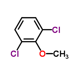 cas no 1984-65-2 is 2,6-DICHLOROANISOL