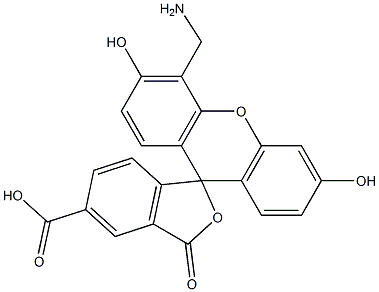 cas no 198546-45-1 is 4'-AMinoMethyl-6-FAM