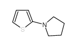 cas no 19983-18-7 is 1-thiophen-2-ylpyrrolidine